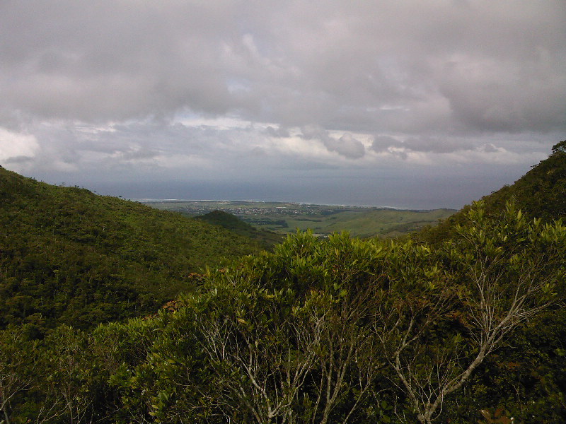 gal/Ile Maurice/SP_A0029_Black_River_Gorges.jpg